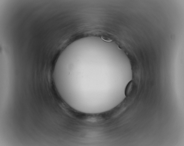 X0000114110708200910051239