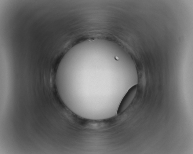 X0000114110712200910051239
