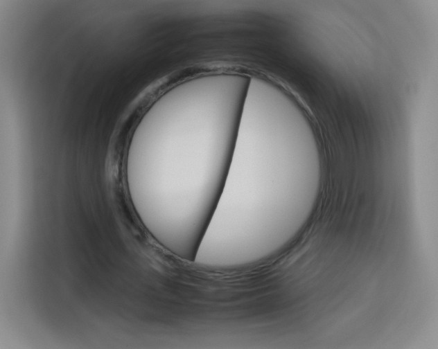 X0000114110723200910051238