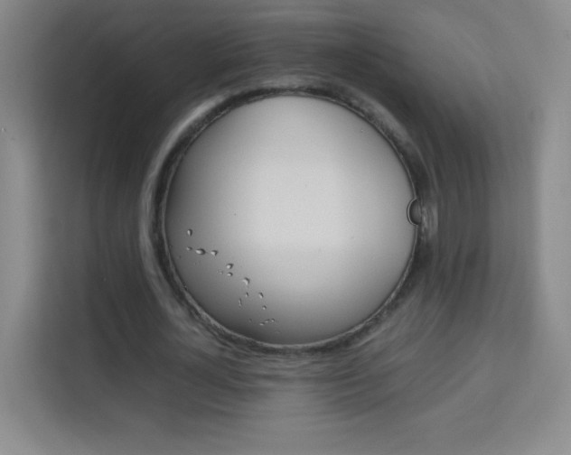 X0000114110724200910051238