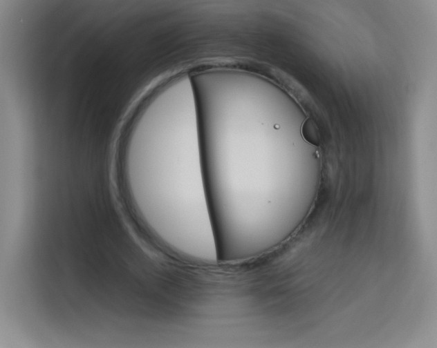 X0000114110728200910051238