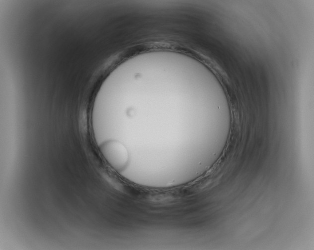 X0000114110729200910051238