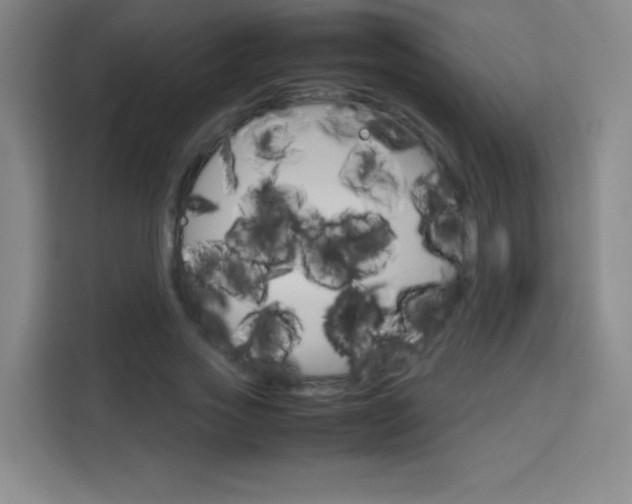 X0000114110733200910051238