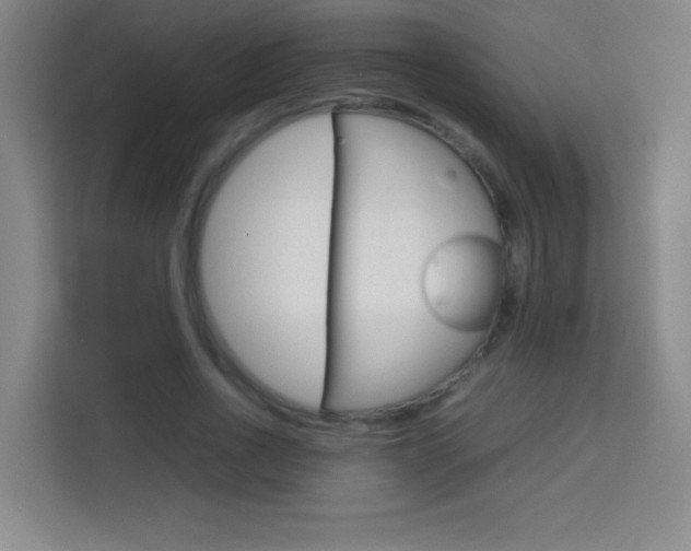 X0000114110734200910051238