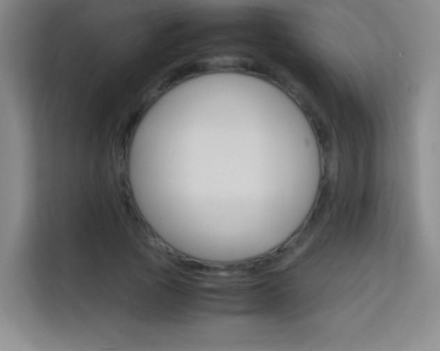X0000114110737200910051238