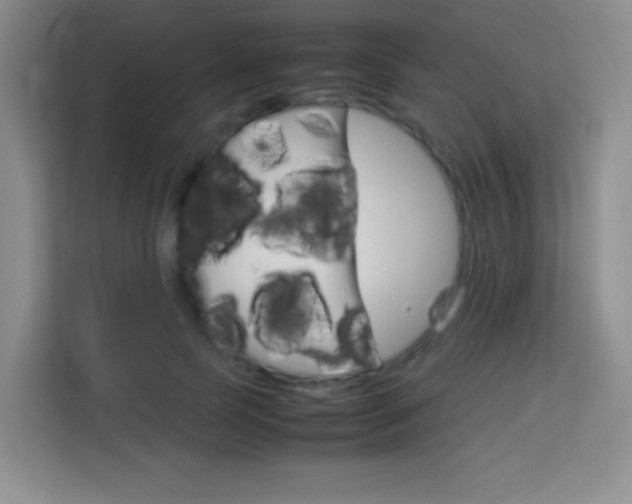 X0000114110745200910051238