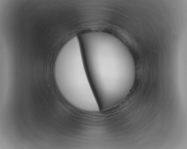 X0000114110748200910051238