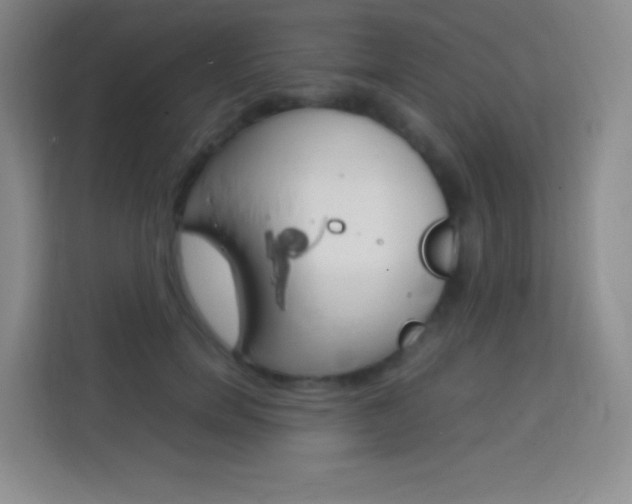 X0000114110750200910051238