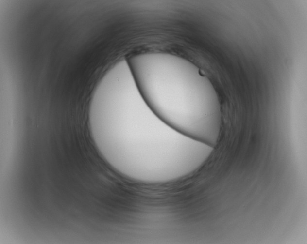 X0000114110752200910051238