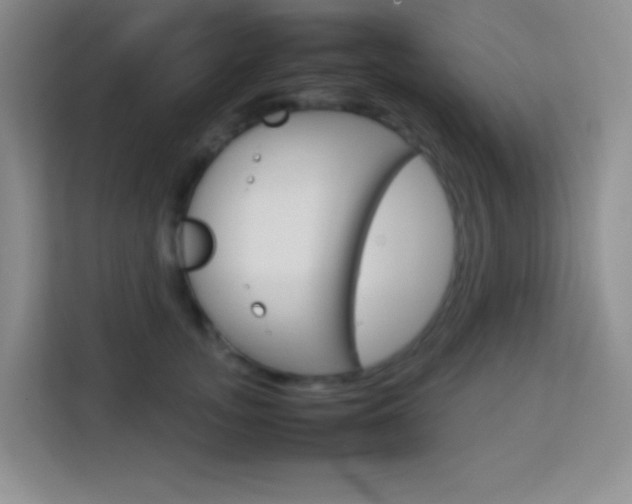 X0000114110755200910051238