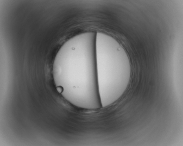X0000114110759200910051238