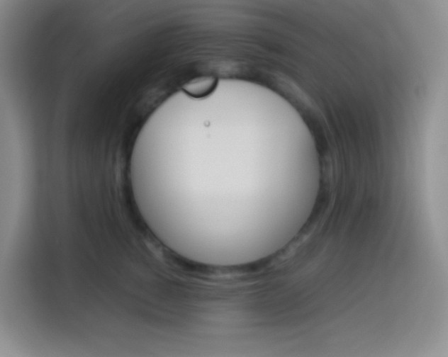 X0000114110760200910051238