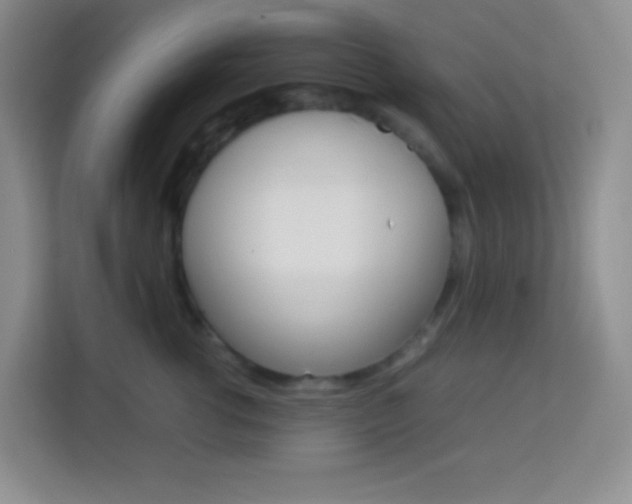 X0000114110762200910051238