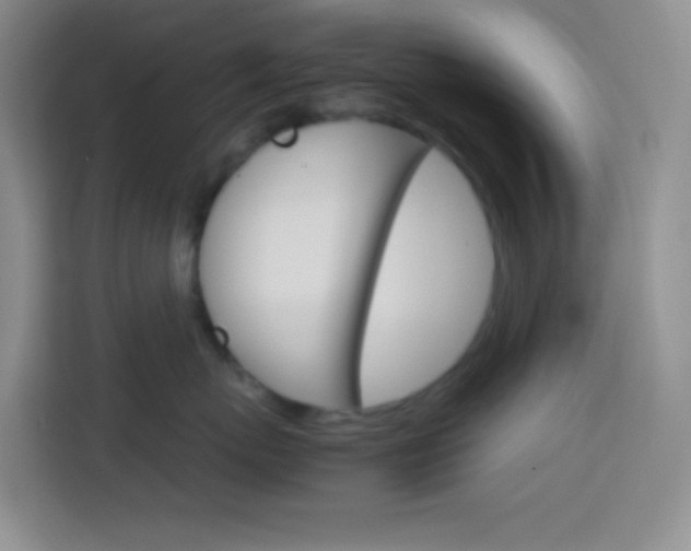 X0000114110767200910051239