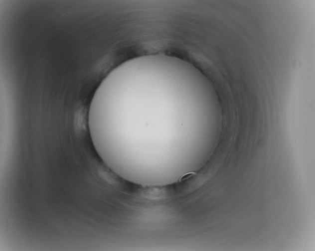 X0000114110768200910051239