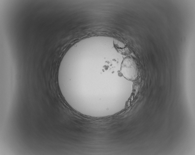 X0000114110769200910051238