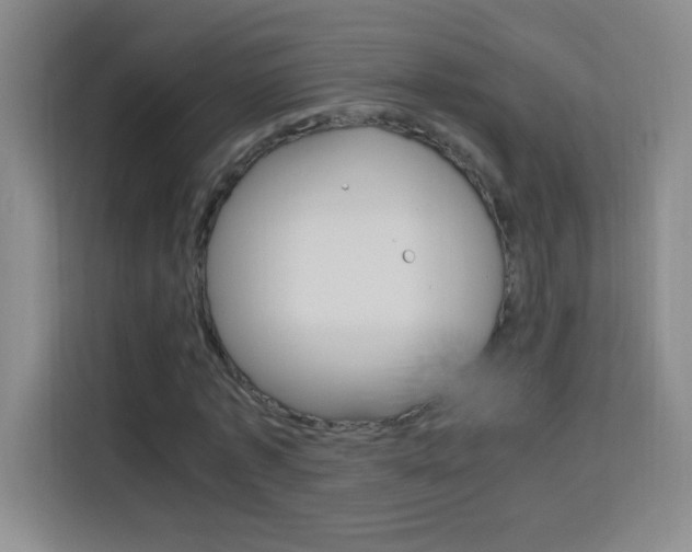 X0000114110773200910051238