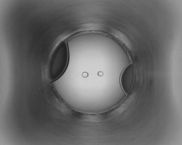 X0000114110781200910051238