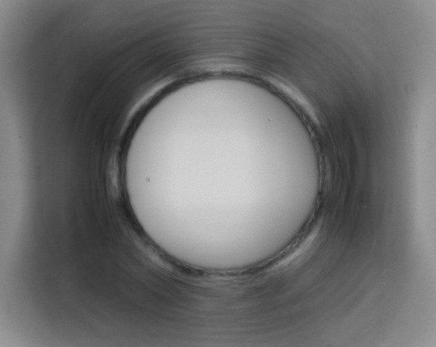 X0000114110782200910051238