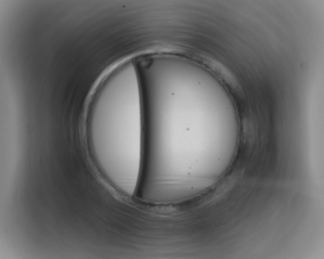 X0000114110784200910051238