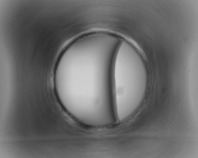X0000114110791200910051237