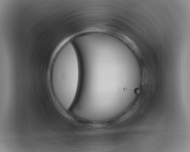 X0000114110796200910051237