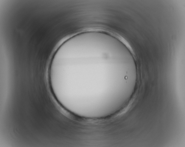 X0000114110803200910051237