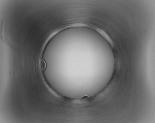 X0000114110805200910051237