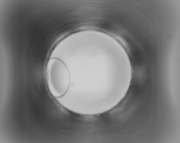 X0000114110807200910051237