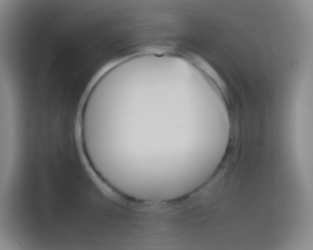 X0000114110811200910051237