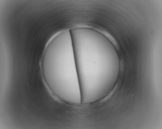 X0000114110814200910051237