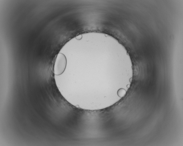 X0000114110820200910051237