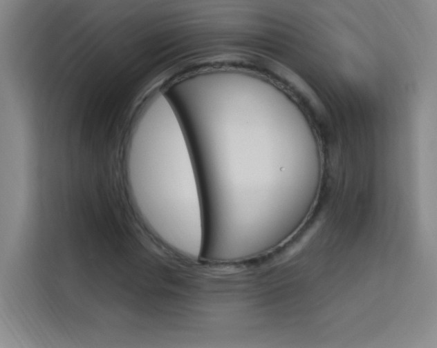 X0000114110826200910051237