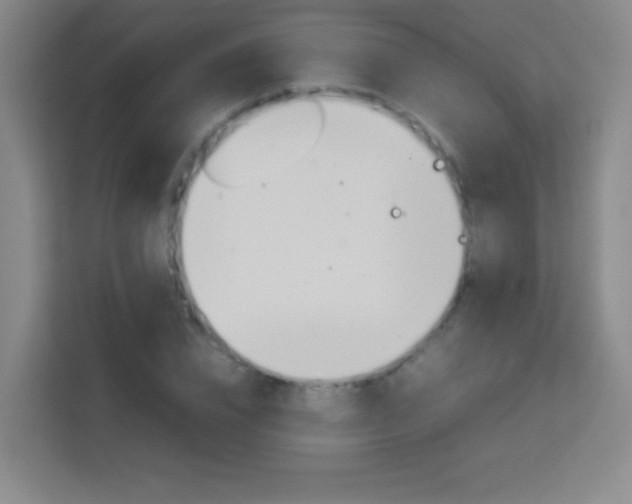 X0000114110832200910051237