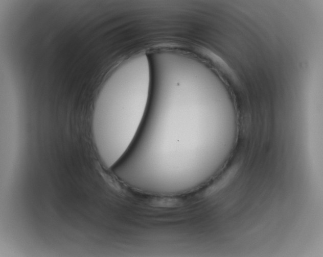 X0000114110833200910051237