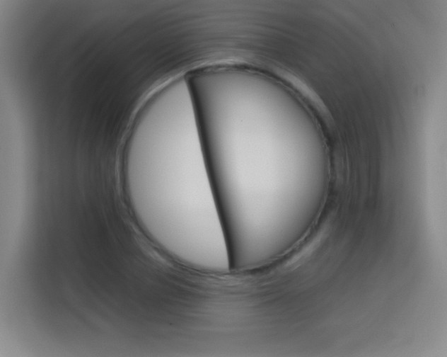 X0000114110834200910051237