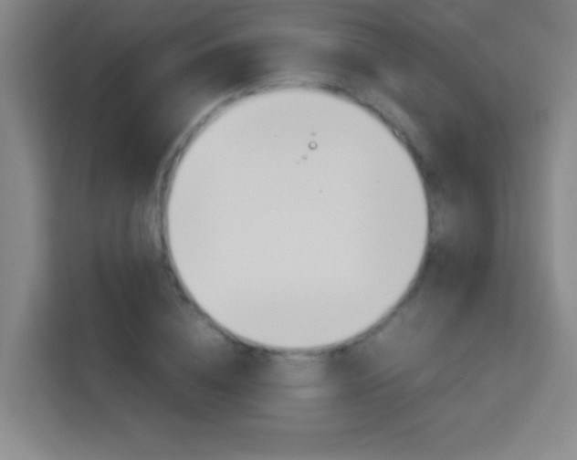 X0000114110836200910051237