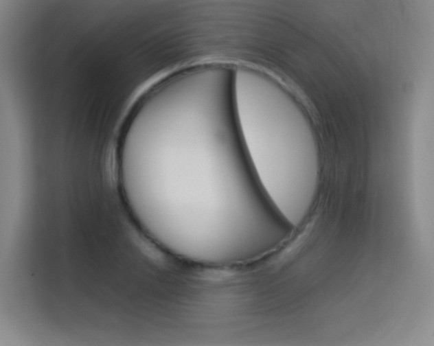 X0000114110838200910051237