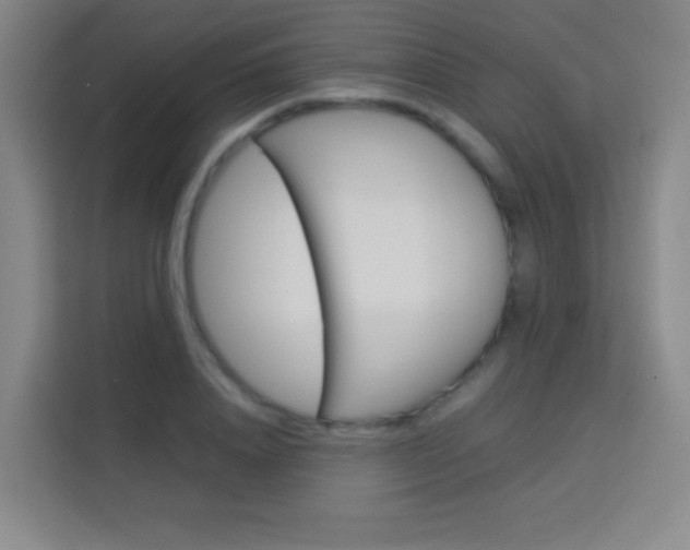 X0000114110840200910051237