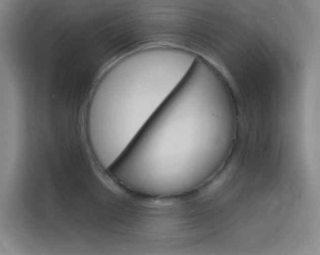 X0000114110842200910051237