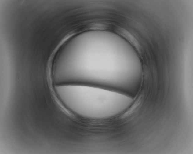 X0000114110843200910051237
