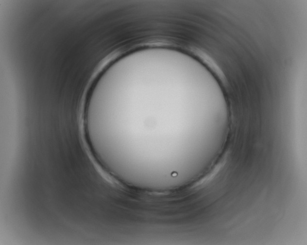 X0000114110845200910051237