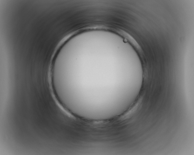 X0000114110847200910051237