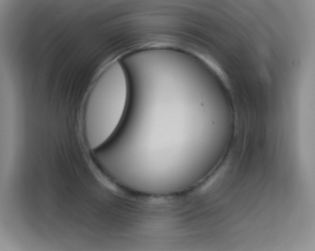 X0000114110850200910051237