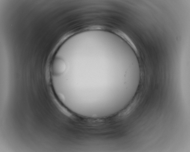 X0000114110851200910051237