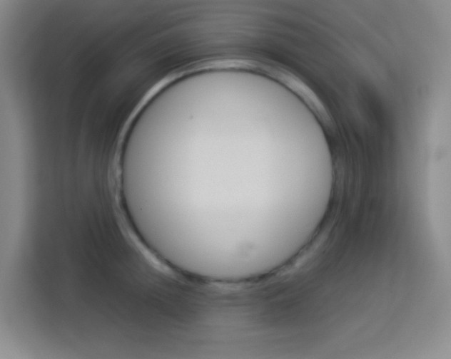 X0000114110852200910051237