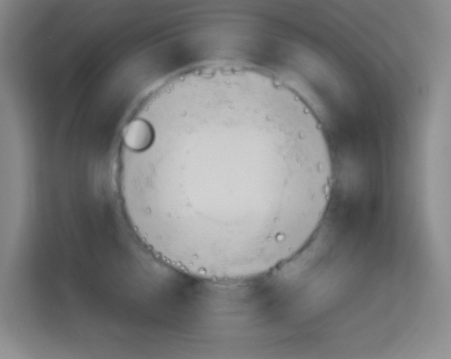 X0000114110856200910051237