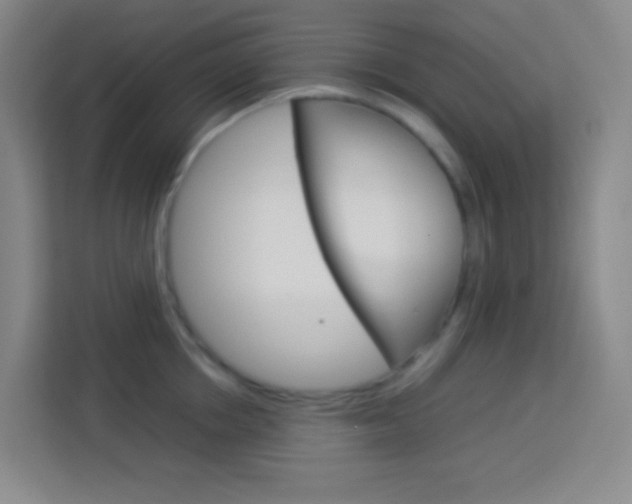 X0000114110858200910051237