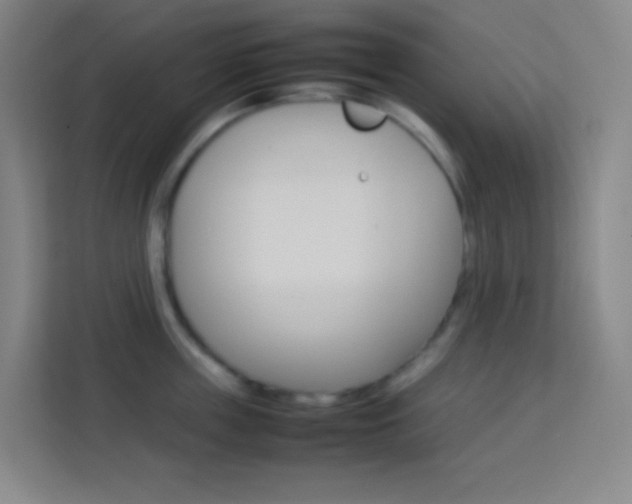 X0000114110859200910051237