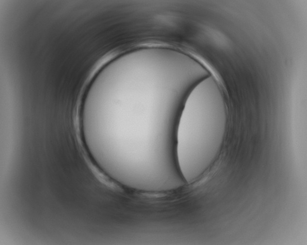 X0000114110861200910051237